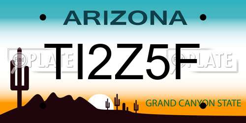 TI2Z5F Arizona License Plate