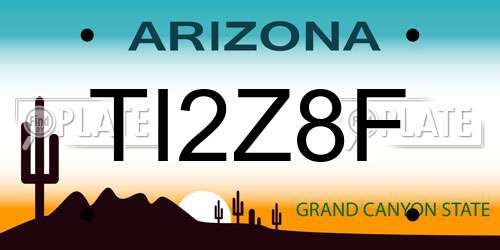 TI2Z8F Arizona License Plate