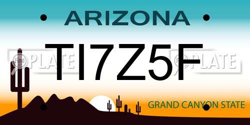 TI7Z5F Arizona License Plate