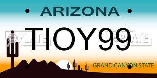 TIOY99 Arizona License Plate