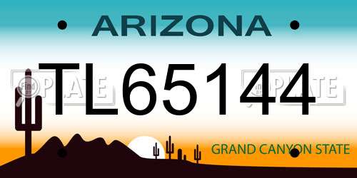 TL65144 Arizona License Plate