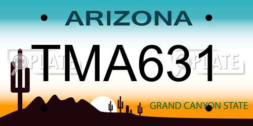TMA631 Arizona License Plate