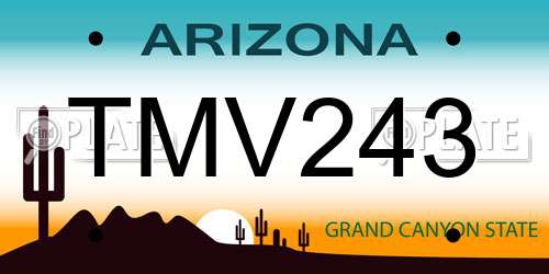TMV243 Arizona License Plate