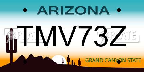 TMV73Z Arizona License Plate
