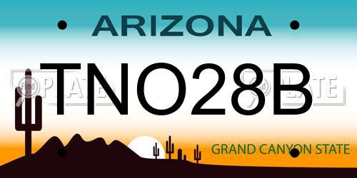 TNO28B Arizona License Plate