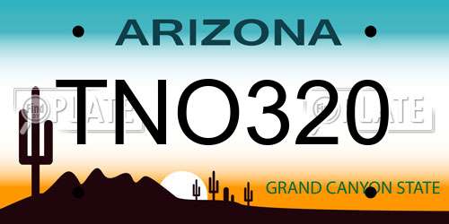 TNO320 Arizona License Plate
