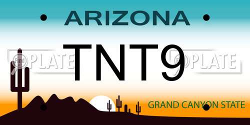 TNT9 Arizona License Plate