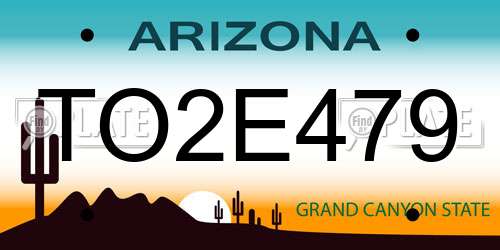 TO2E479 Arizona License Plate