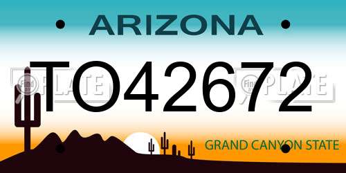 TO42672 Arizona License Plate