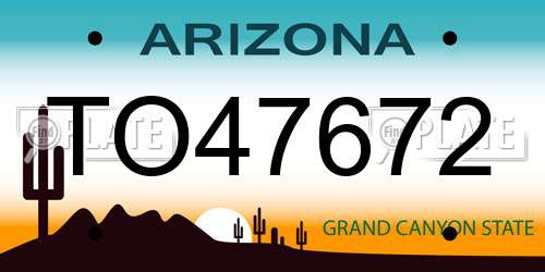 TO47672 Arizona License Plate