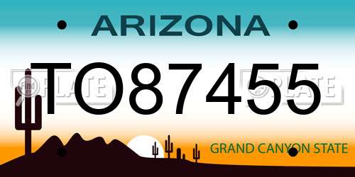 TO87455 Arizona License Plate