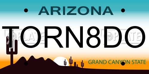 TORN8DO Arizona License Plate