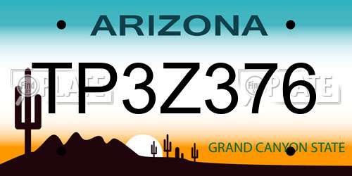 TP3Z376 Arizona License Plate