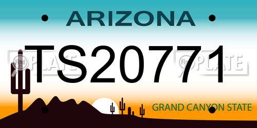 TS20771 Arizona License Plate