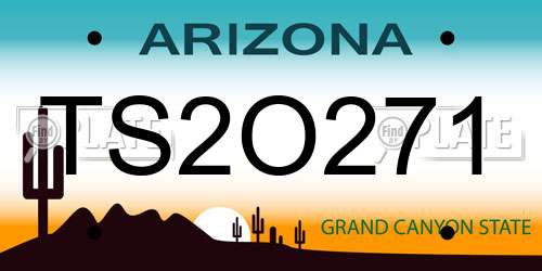 TS2O271 Arizona License Plate