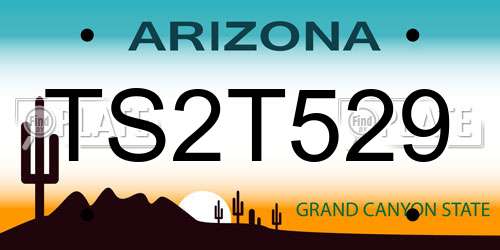 TS2T529 Arizona License Plate