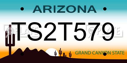 TS2T579 Arizona License Plate