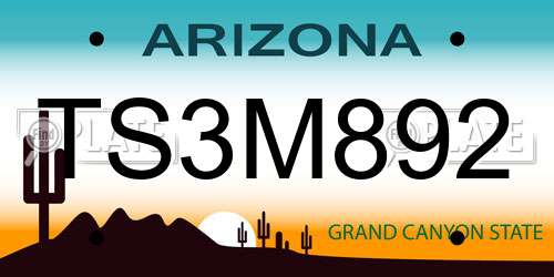 TS3M892 Arizona License Plate