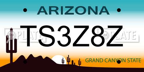 TS3Z8Z Arizona License Plate