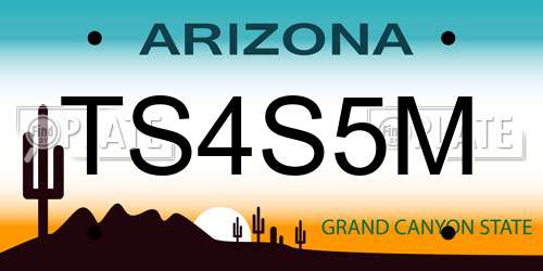 TS4S5M Arizona License Plate