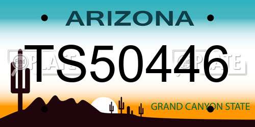 TS50446 Arizona License Plate