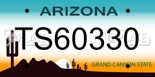 TS60330 Arizona License Plate