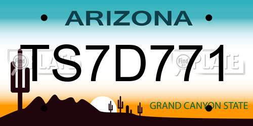 TS7D771 Arizona License Plate