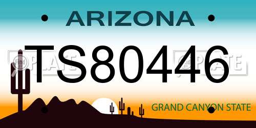 TS80446 Arizona License Plate