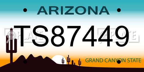 TS87449 Arizona License Plate