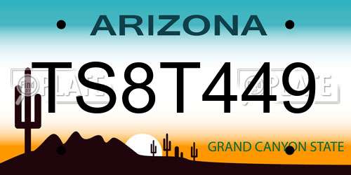 TS8T449 Arizona License Plate