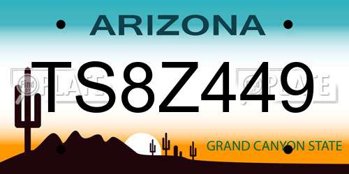 TS8Z449 Arizona License Plate