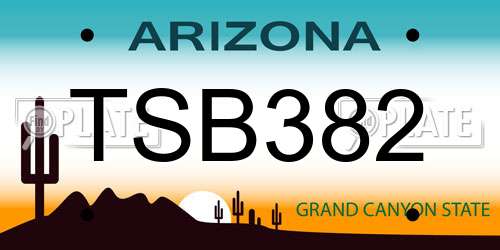 TSB382 Arizona License Plate