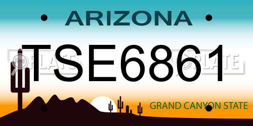 TSE6861 Arizona License Plate