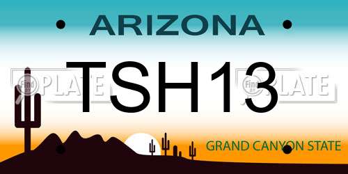 TSH13 Arizona License Plate