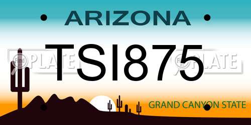 TSI875 Arizona License Plate