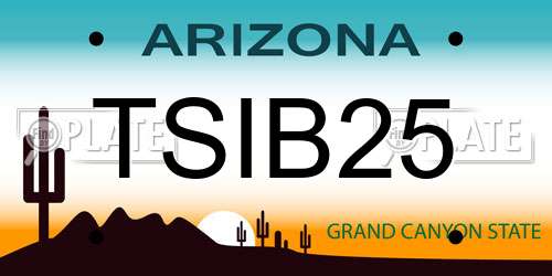 TSIB25 Arizona License Plate