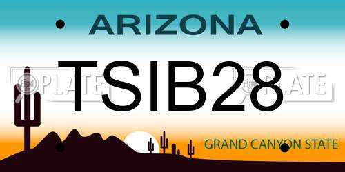 TSIB28 Arizona License Plate