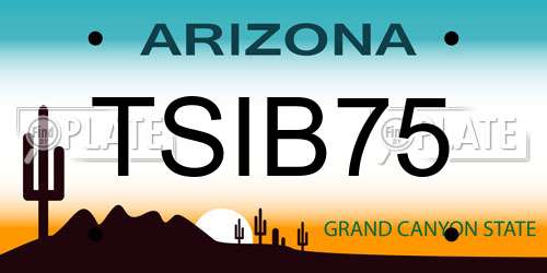 TSIB75 Arizona License Plate