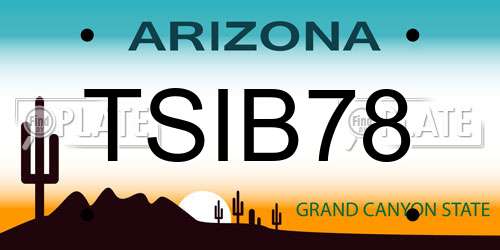 TSIB78 Arizona License Plate