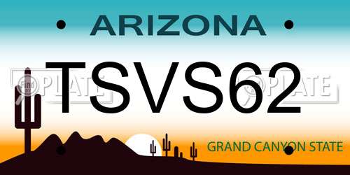 TSVS62 Arizona License Plate
