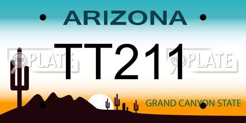 TT211 Arizona License Plate