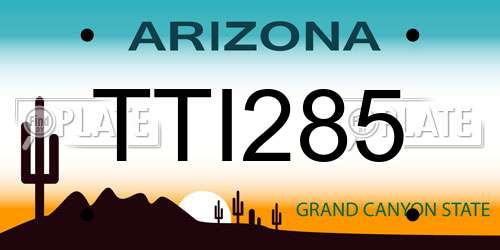TTI285 Arizona License Plate