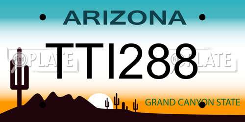 TTI288 Arizona License Plate
