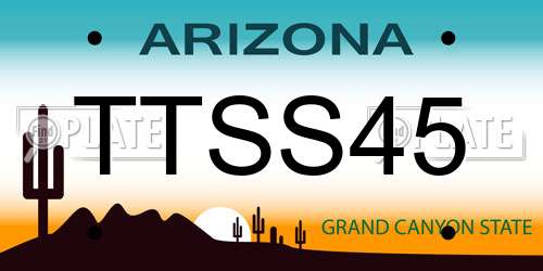TTSS45 Arizona License Plate