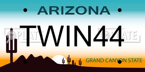 TWIN44 Arizona License Plate