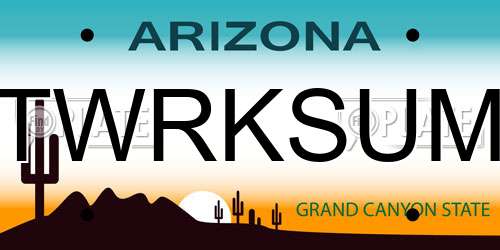TWRKSUM Arizona License Plate