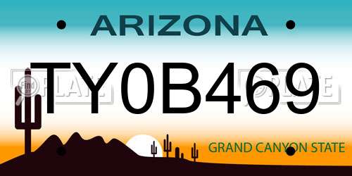 TY0B469 Arizona License Plate