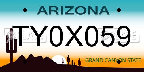TY0X059 Arizona License Plate