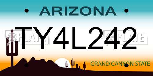 TY4L242 Arizona License Plate