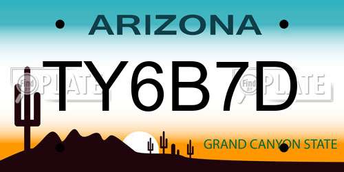 TY6B7D Arizona License Plate